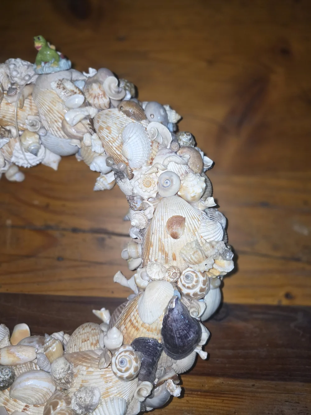 Seashell  Wreath in Natural Multi-Color